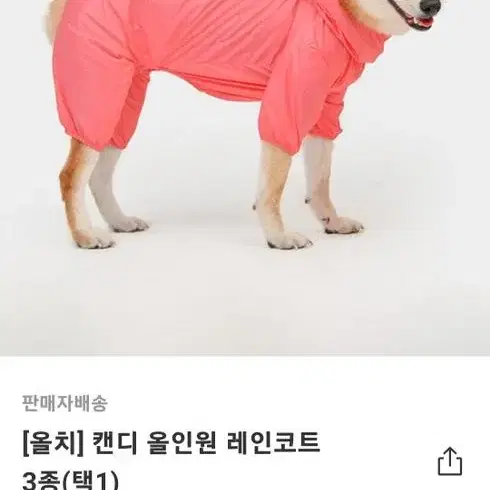 올치 캔디 올인원 레인코트