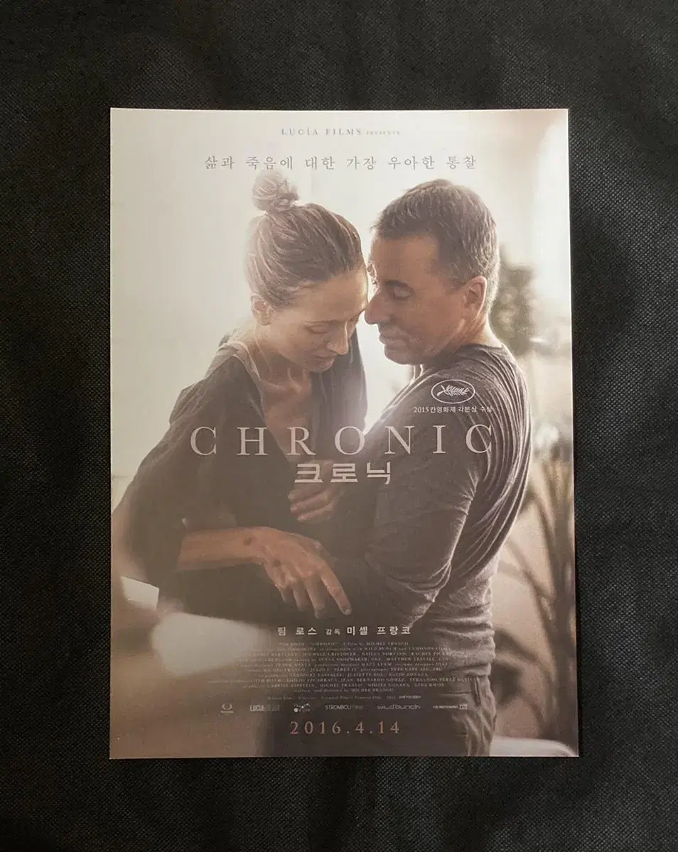 The movie Chronic - Flyer pamphlet poster (directed by Mitchell Franco, Tim Roth)