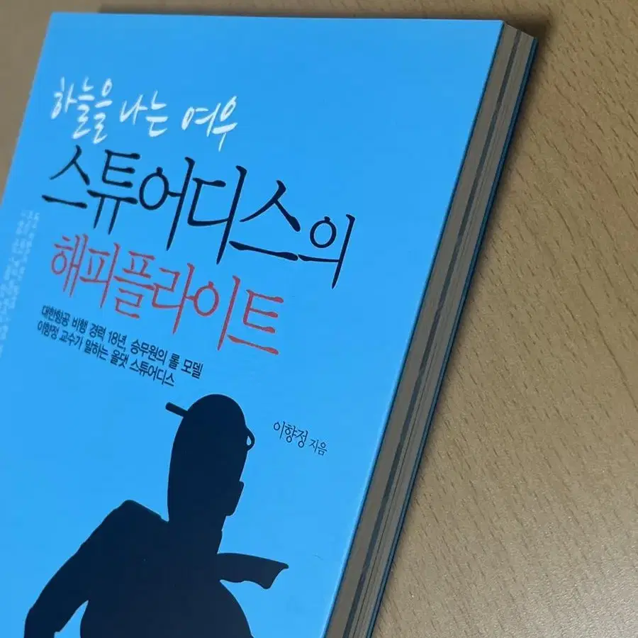 하늘을 나는 여우 스튜어디스의 해피플라이트 책