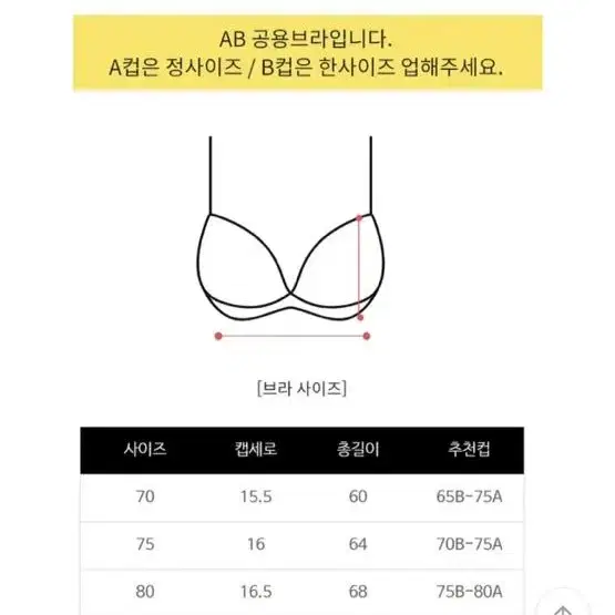 레이스 브라렛 노와이어 세트