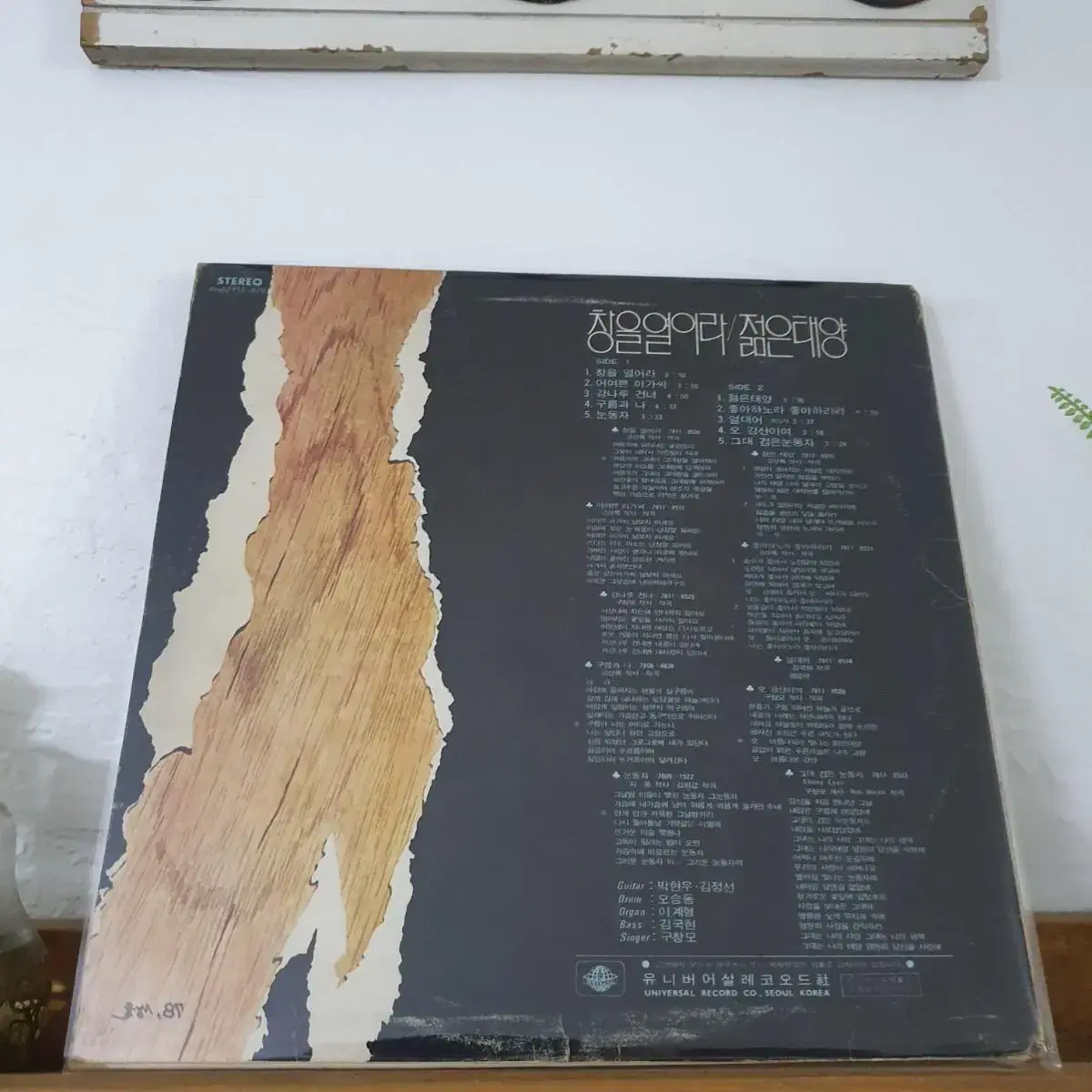 블랙테트라 (열대어)  LP  1979