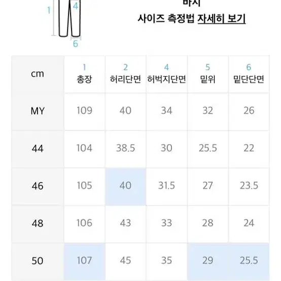 페이탈리즘 패인트진