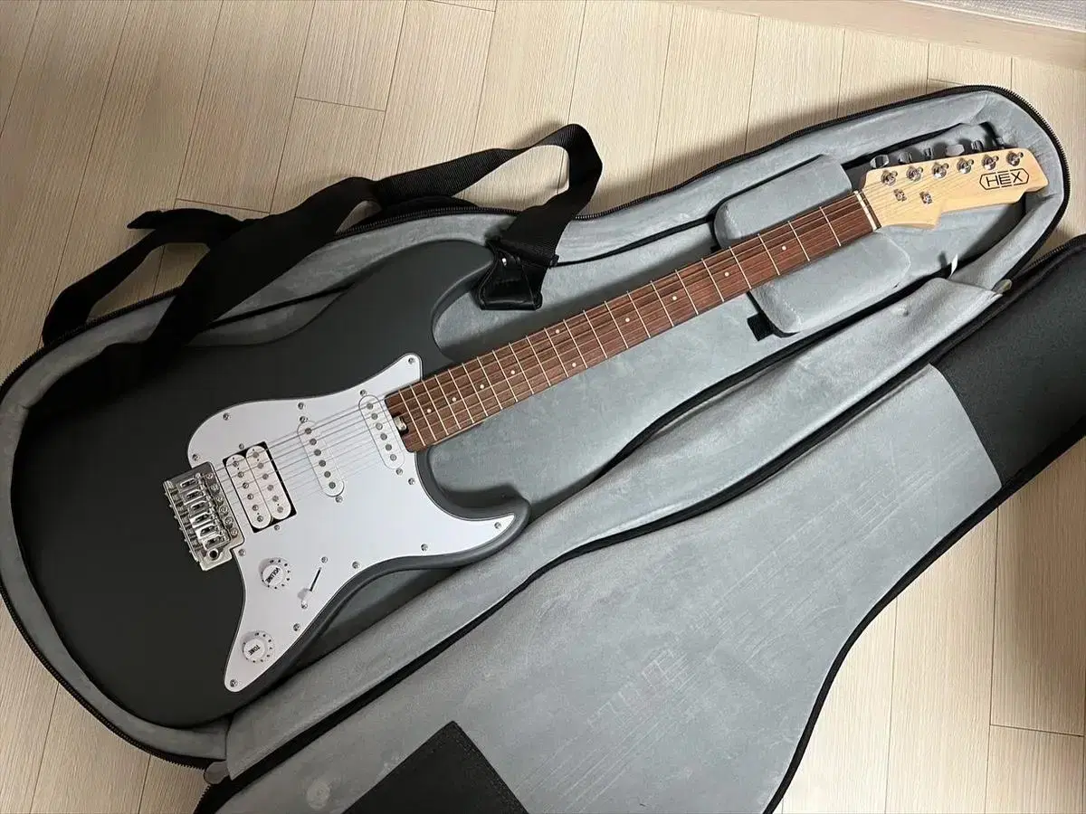 Hex e100 electric guitar for sale