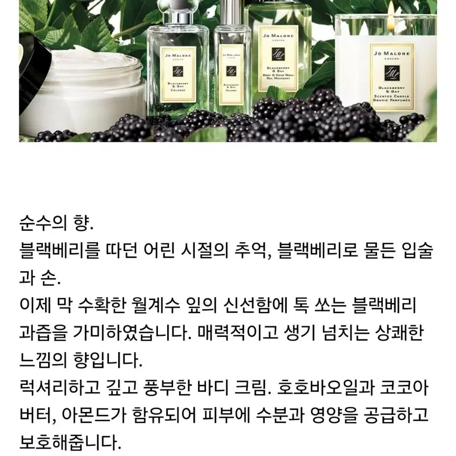 새제품 블랙베리 앤 베이 바디 크림 175ml