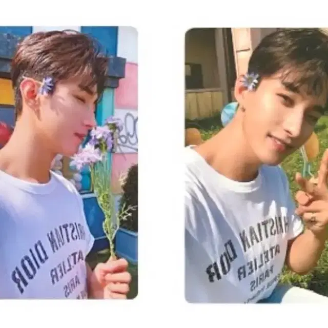 세븐틴 도겸 석민 유얼초이스 이즈위 2 3차 특전