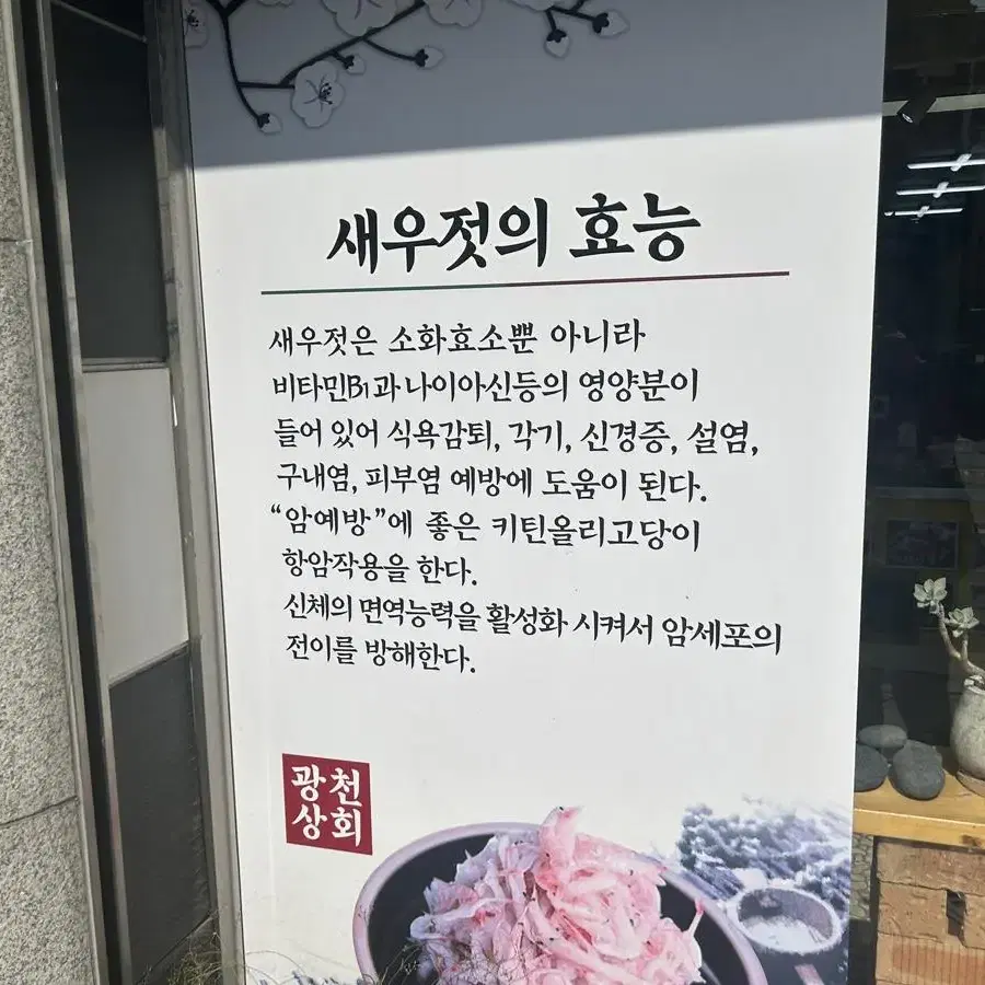 광천토굴새우젓