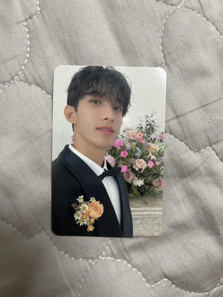 Seventeen FML Caratbahn dk photocard