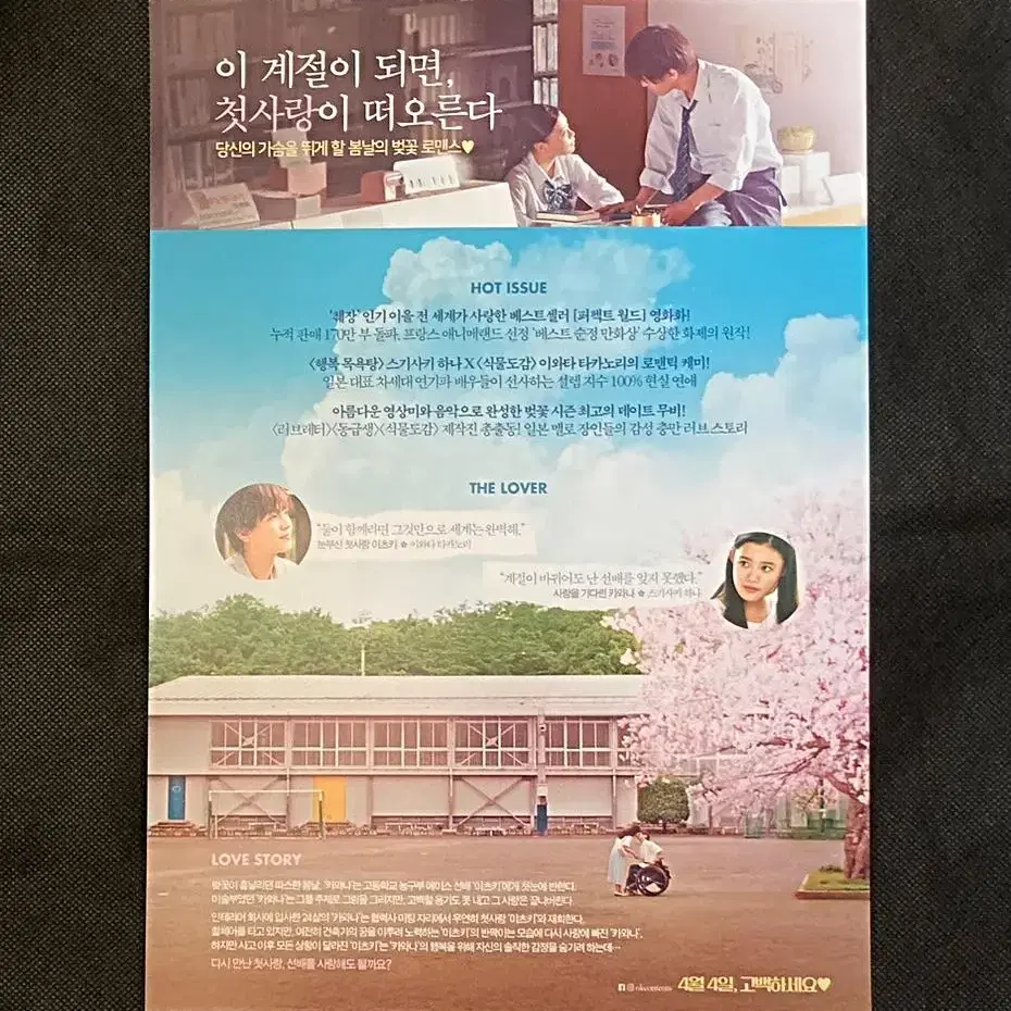 영화 우리들의 완벽한 세계 - 전단지 팜플렛(스기사키하나 이와타타카노리)