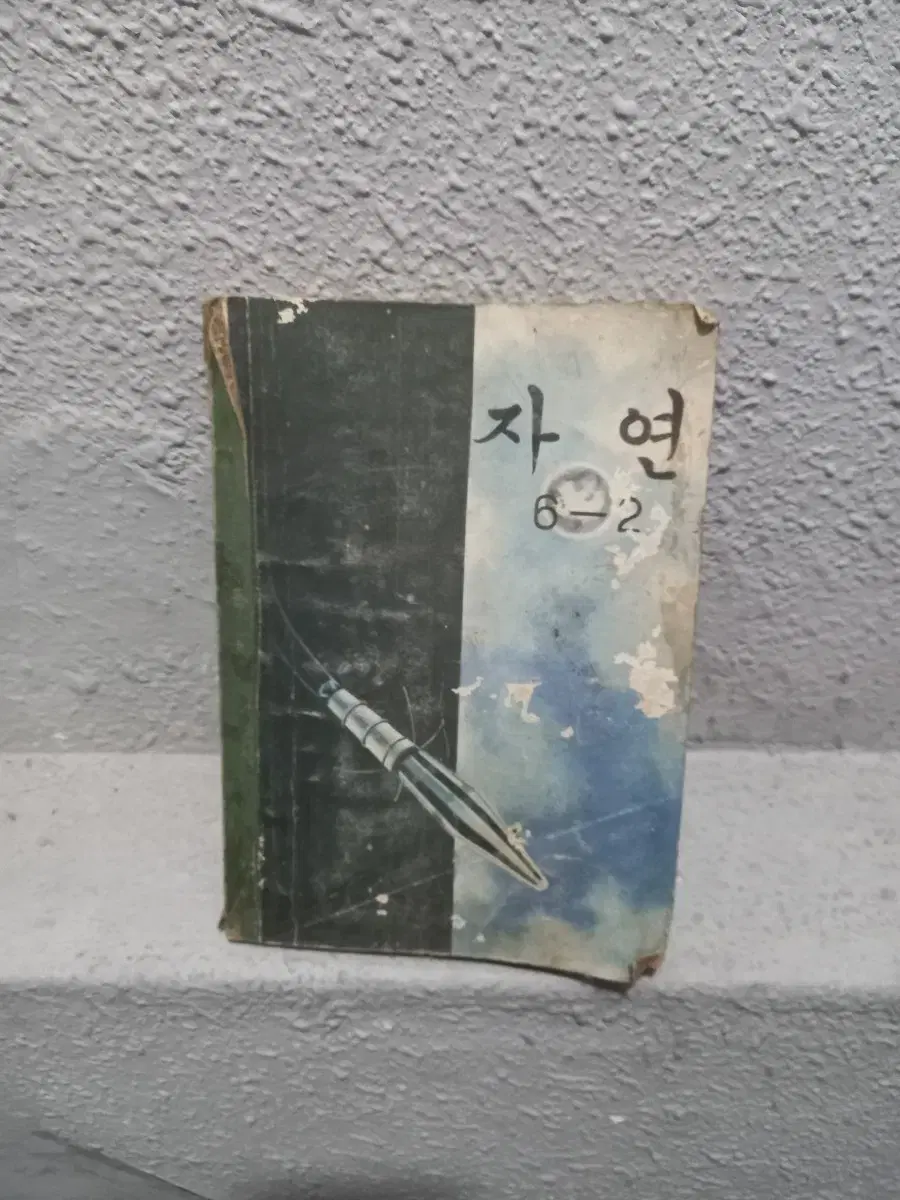 1966년 자연교과서