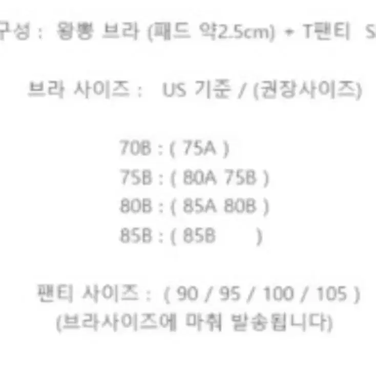 왕뽕 티팬티세트 심플 밴드 T팬티 브라팬티세트