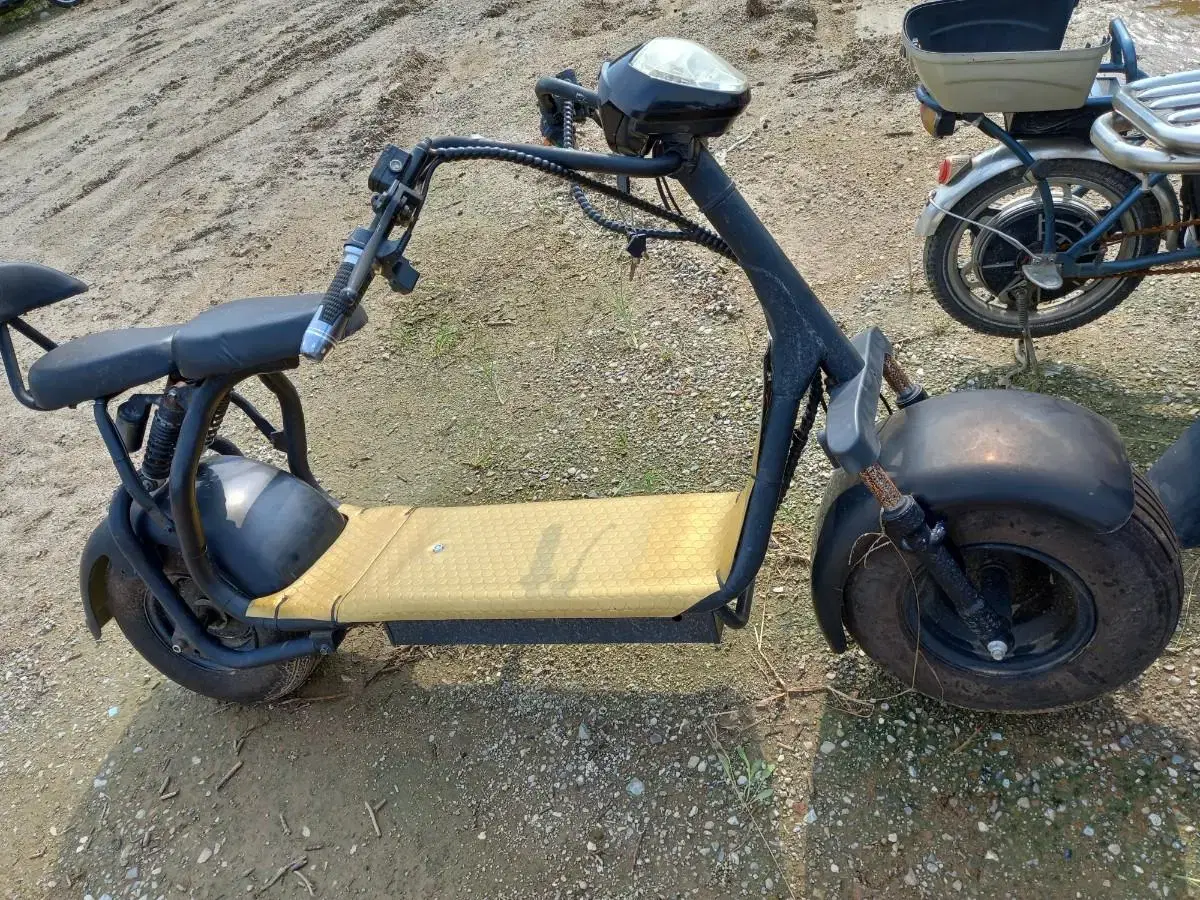 electric two-wheeled vehicle