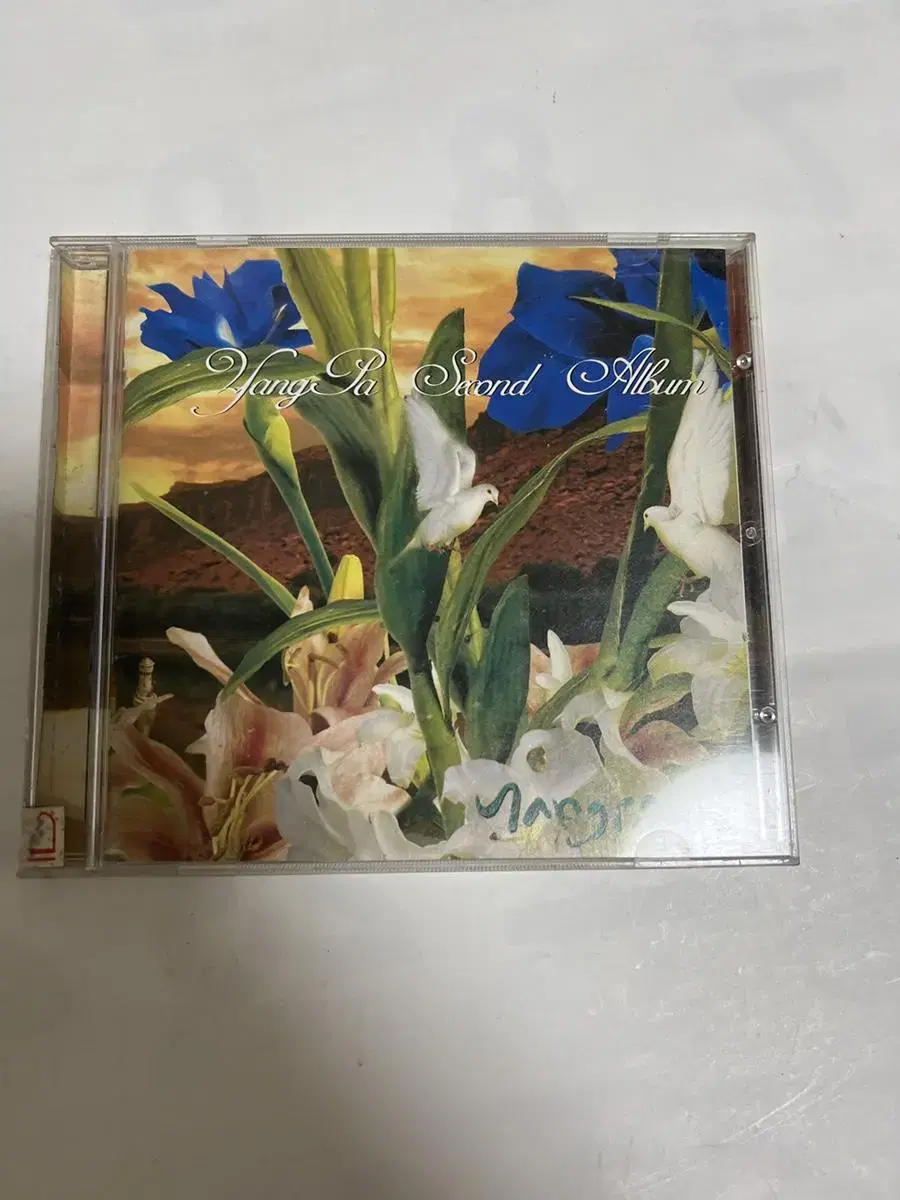 양파 2집 cd