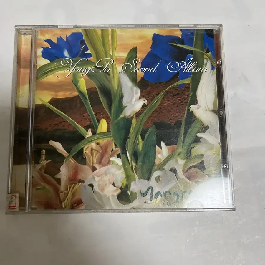 양파 2집 cd