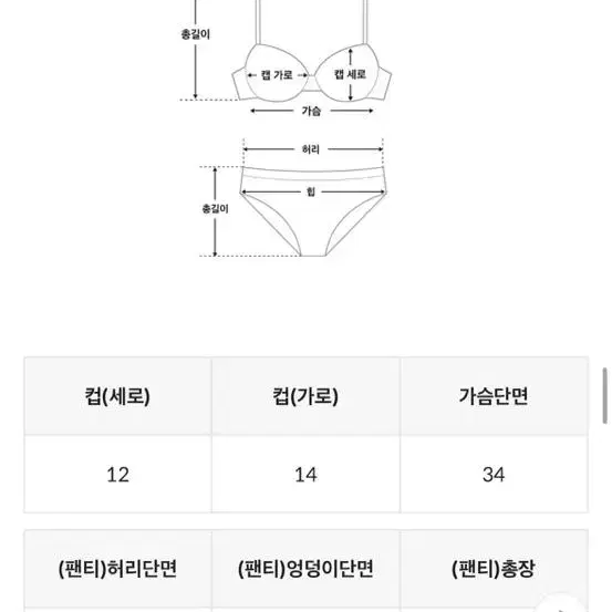 반링 오링 뱀피 프린팅 하이웨스트 비키니 동남아 새제품