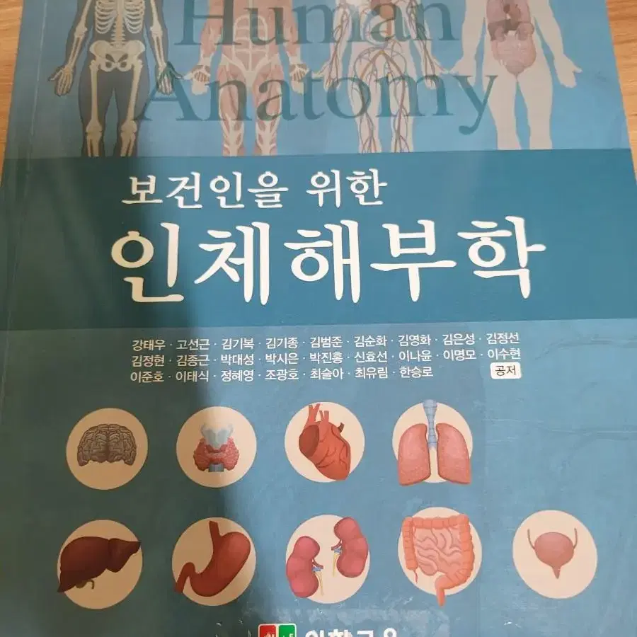 인체해부학 팝니다