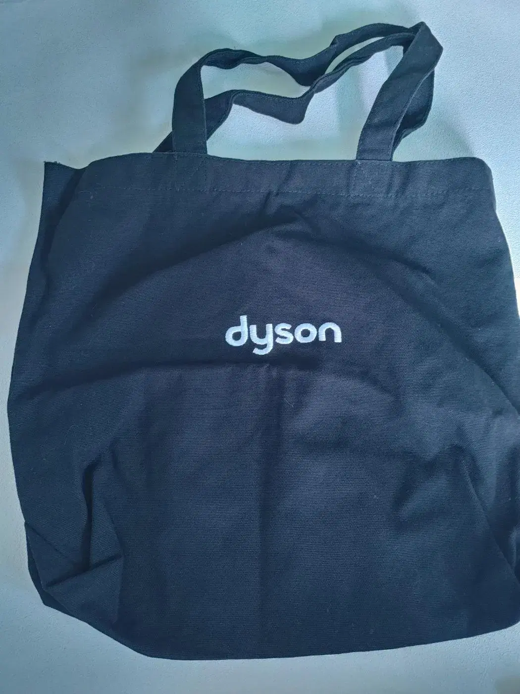 DYSON Dyson EcoBag Carrying Bag