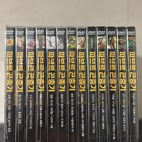 파브르 곤충기 세트 Vol.1-13 (13disc)  DVD