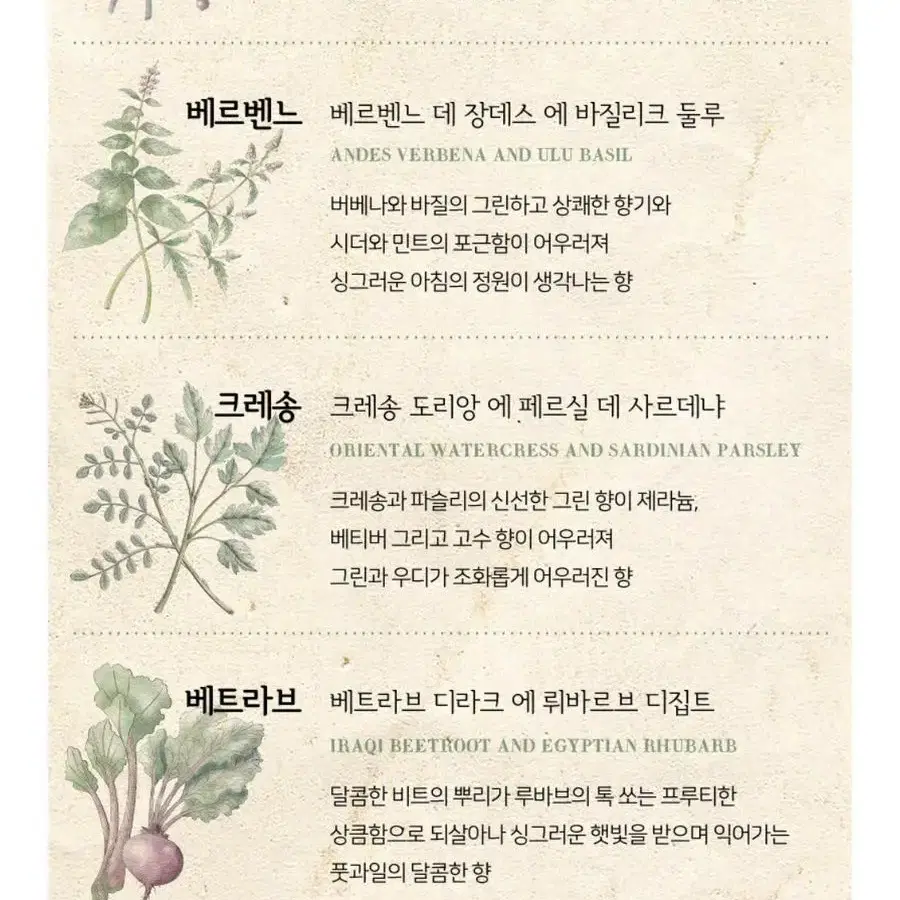 (가격내림) 불리 향수 레 자뎅 프랑세 컬렉션