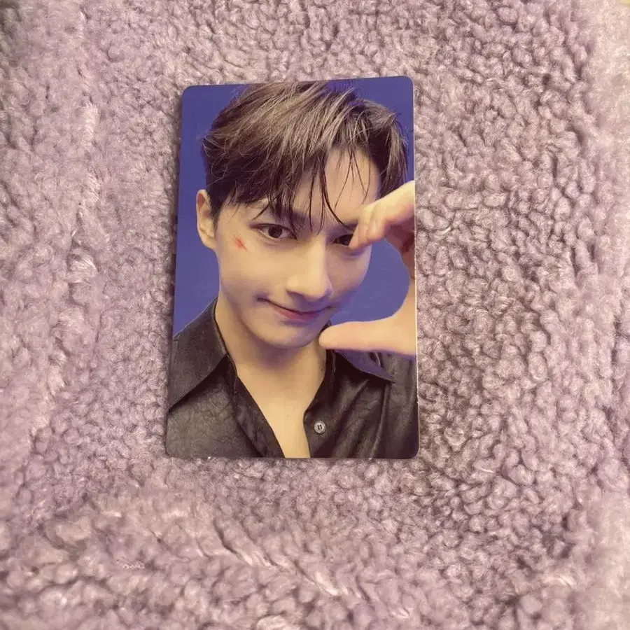 세븐틴 문준휘 준 페더썬 포카