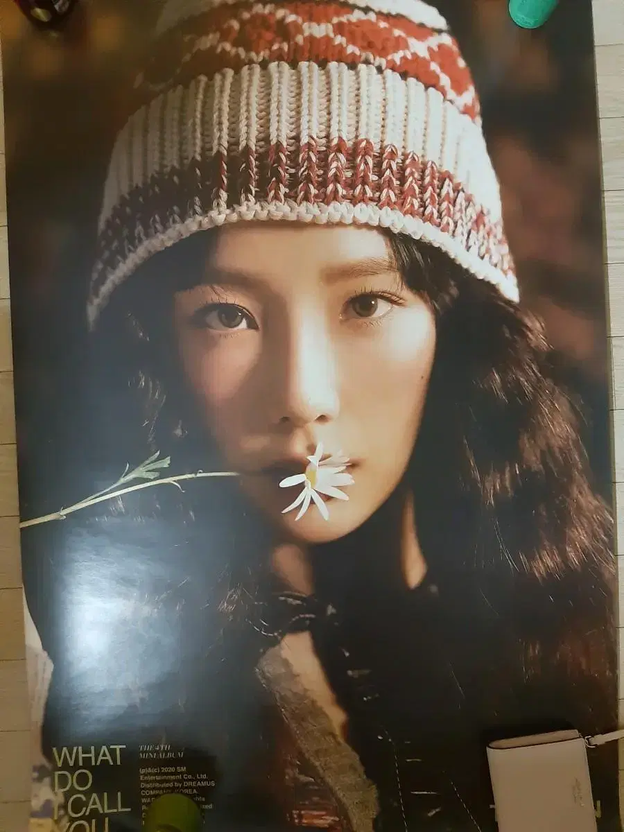 Taeyeon Watduai Kol U Poster