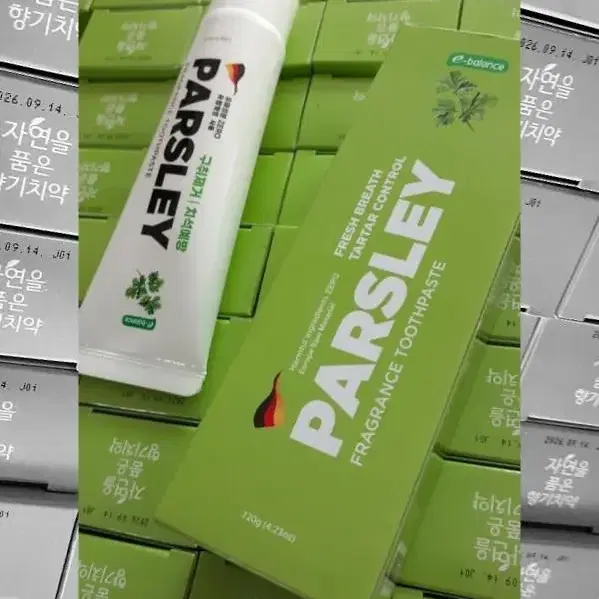 파슬리 치약 Parsley 치약 구취제거 치석예방 건치관리 치약 금호덴탈