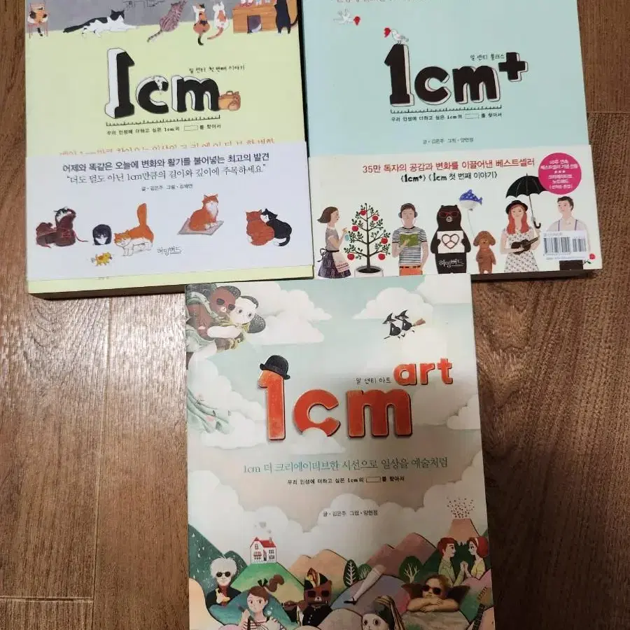 1cm 책