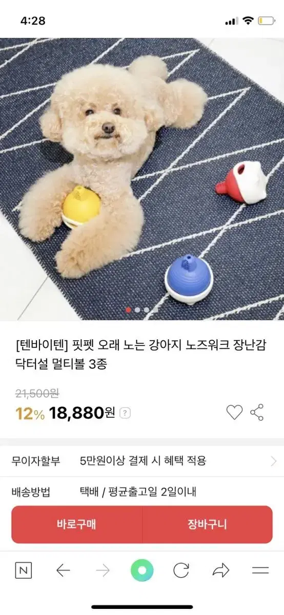 닥터설 노즈워크 애견 장난감 멀티볼