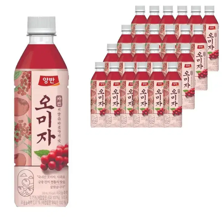 양반 오미자차 500ml x 24개