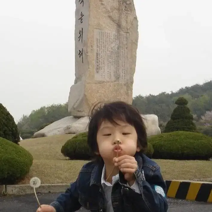 (급처가격내림)엔시티 지성 레조넌스패스트엔시티드림resonance