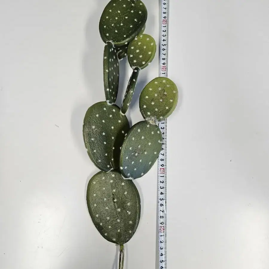 길이 60cm 선인장 조화