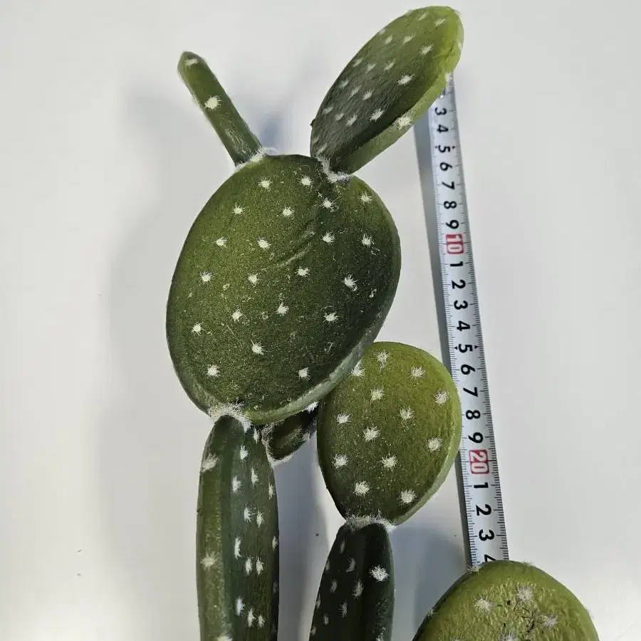 길이 60cm 선인장 조화