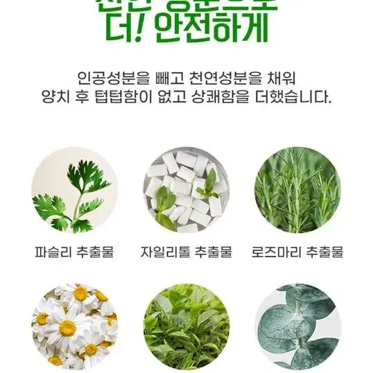 파슬리 치약 Parsley 치약 구취제거 치석예방 건치관리 치약 금호덴탈