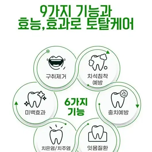 파슬리 치약 Parsley 치약 구취제거 치석예방 건치관리 치약 금호덴탈