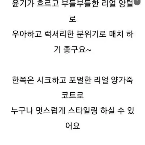 지컷 램스킨 리얼양면무스탕