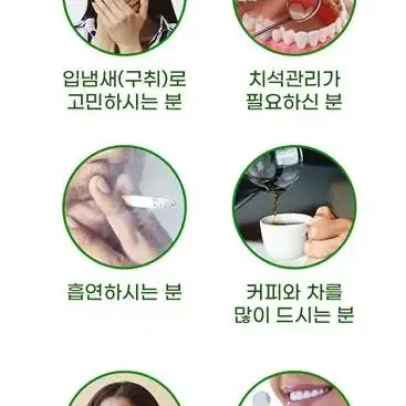 주문수량 3개 19,800원 파슬리 치약 Parsley 치약 구취제거 치