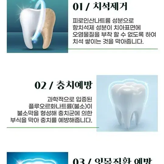 주문3개 할인 파슬리 치약 Parsley 치약 구취제거 치석예방 건치관리