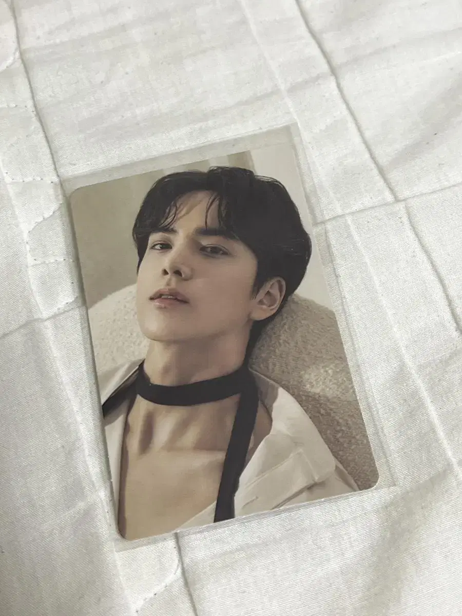 Dinto younghoon photocard