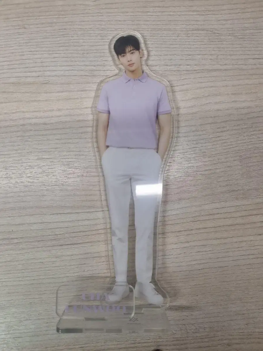 Cha Eunwoo acrylic Stand