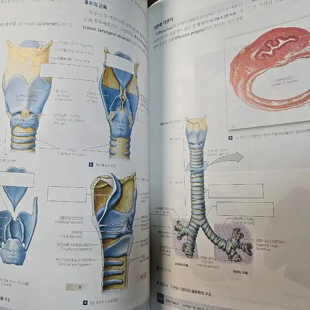 인체 구조와 기능 실습서