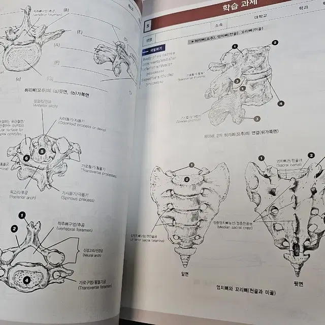 인체 구조와 기능 실습서