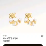 Louis Vuitton Earrings (M01258)