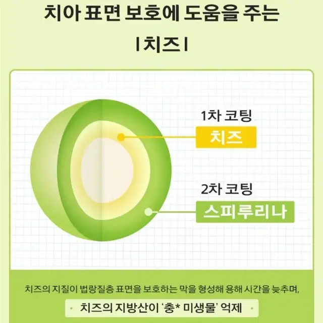 강아지 구강 간식 치카볼