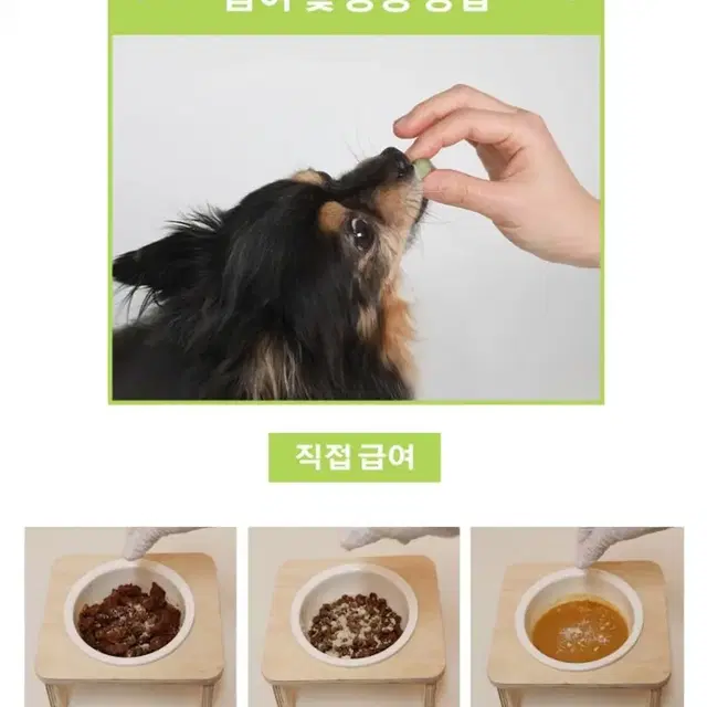 강아지 구강 간식 치카볼