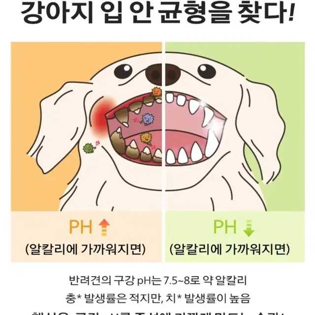 강아지 구강 간식 치카볼