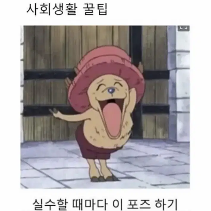 현자의 돌 6평분석서