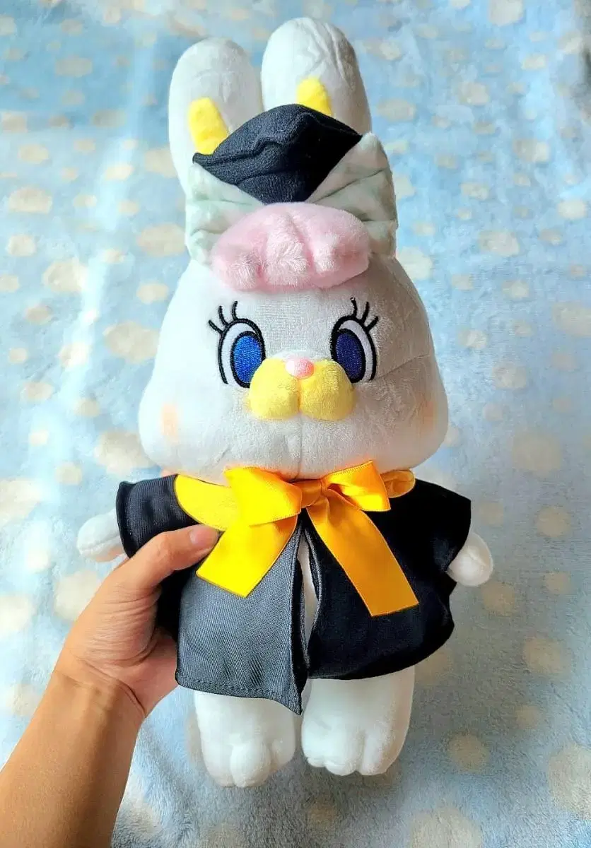 [Thanksgiving Event] Rico Bachelor Momo Graduation 40cm Medium Doll/Rabbit Doll/Graduation Gift