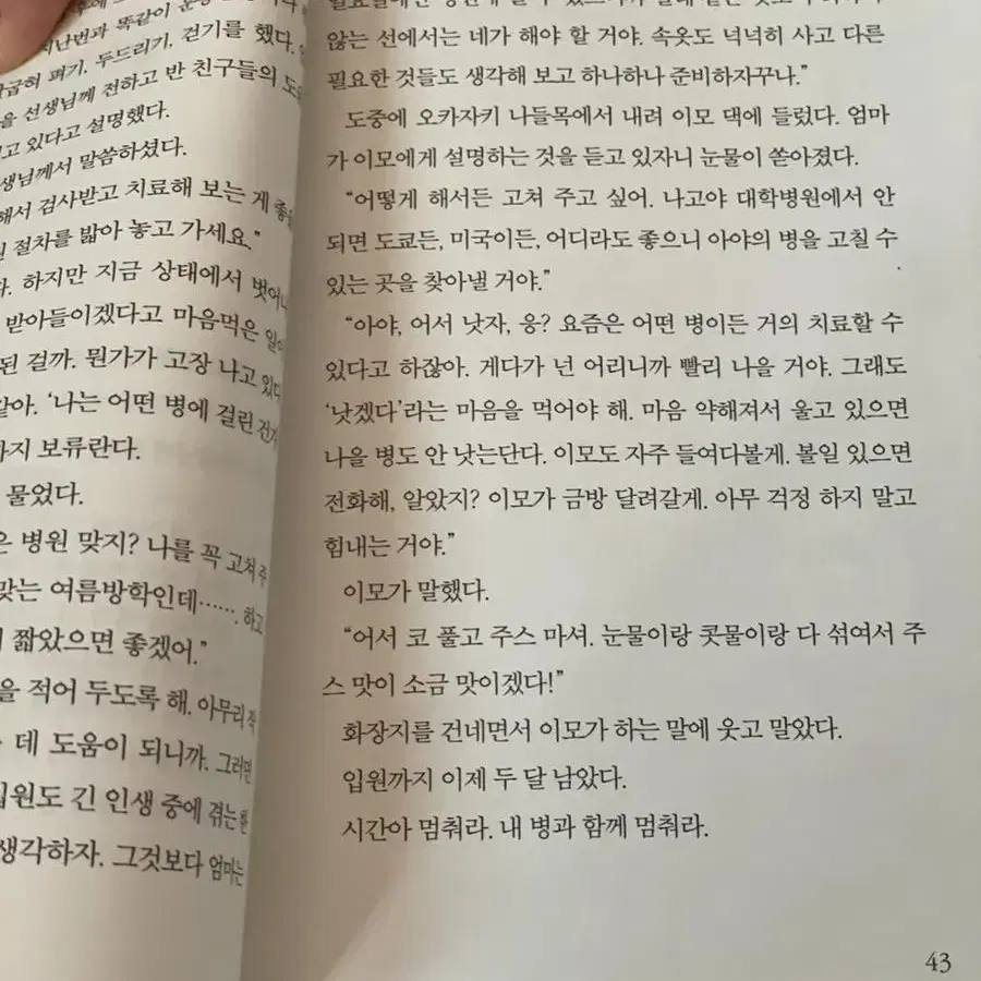 1리터의 눈물 책