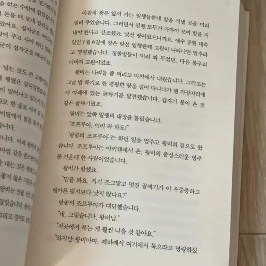 엘레오노르 소설