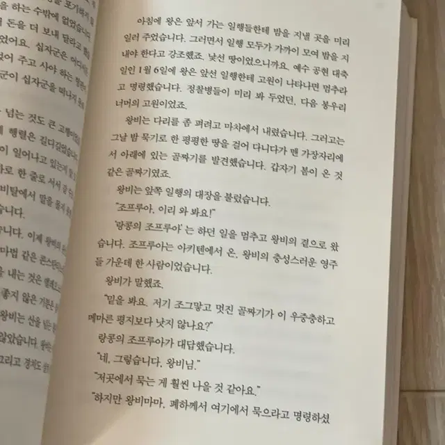 엘레오노르 소설