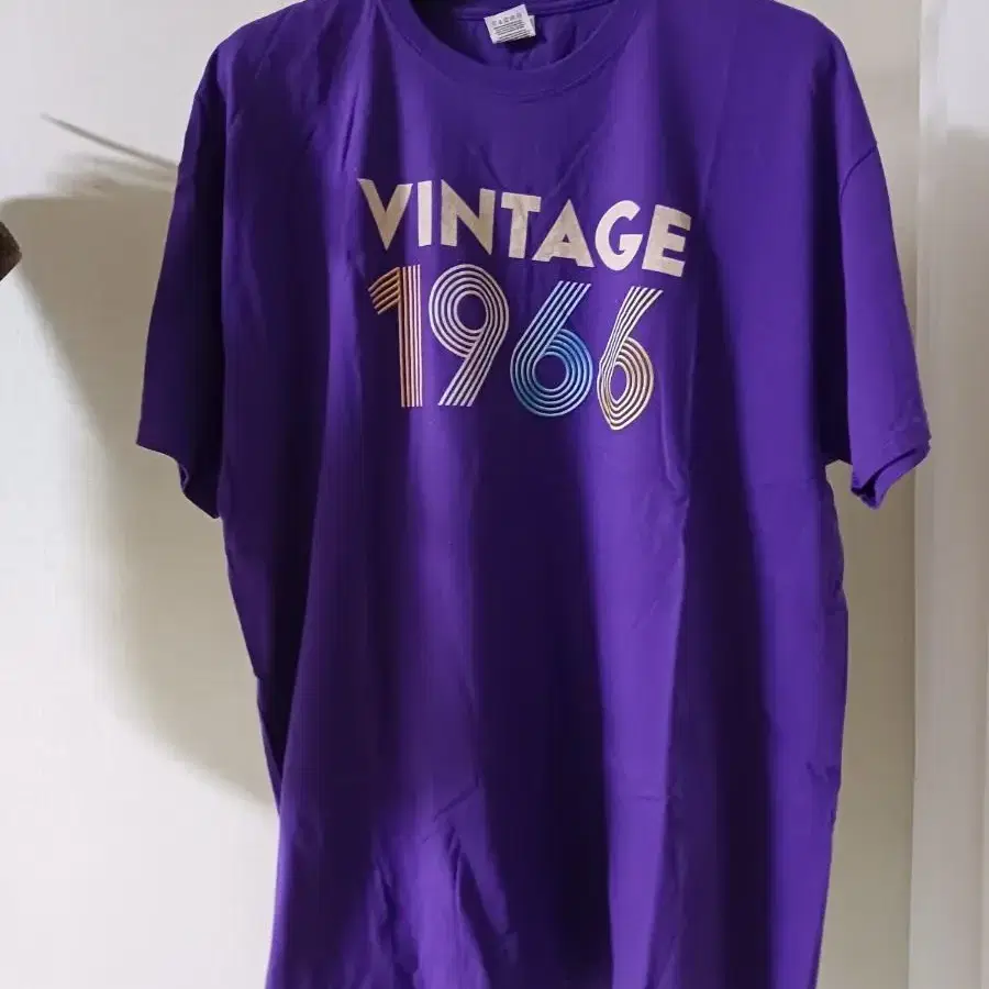 [2XL] 빈티지 프룻오프더룸 1966반팔티셔츠